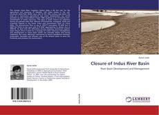 Bookcover of Closure of Indus River Basin