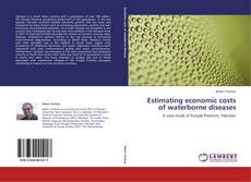 Capa do livro de Estimating economic costs of waterborne diseases 