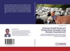 Bookcover of Enhance Small Ruminant Productivity through Crop Residue Improvement