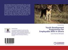 Youth Development Programmes for Employable Skills in Ghana kitap kapağı