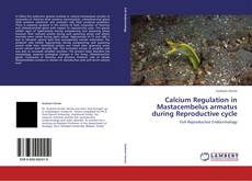 Calcium Regulation in Mastacembelus armatus during Reproductive cycle kitap kapağı