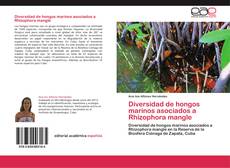 Buchcover von Diversidad de hongos marinos asociados a Rhizophora mangle