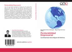 Perdurabilidad Empresarial kitap kapağı
