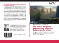 Capa do livro de Los Santos indígenas: entes divinos populares bajo sospecha oficial 