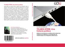 TELMEX-STRM: Una historia política kitap kapağı