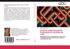 Capa do livro de Cultura organizacional: Emociones y sentido de vida 