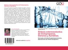 Buchcover von Síntesis estereoselectiva de Ciclopropanos, Oxiranos y Aziridinas.