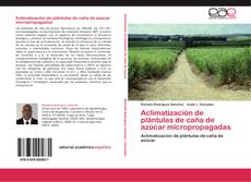 Buchcover von Aclimatización de plántulas de caña de azúcar micropropagadas