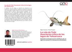 La ruta de Yutá: Asociacion íctica de los lagos de Yahuarcaca kitap kapağı
