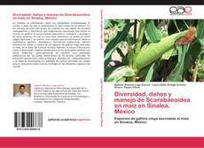 Bookcover of Diversidad, daños y manejo de Scarabaeoidea en maíz en Sinaloa, México