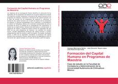 Formación del Capital Humano en Programas de Maestría kitap kapağı
