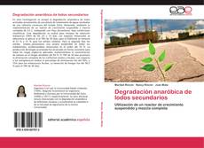 Bookcover of Degradación anaróbica de lodos secundarios