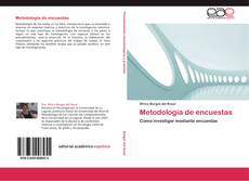 Bookcover of Metodología de encuestas