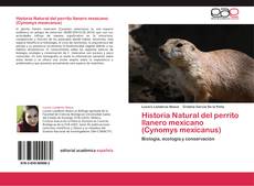 Historia Natural del perrito llanero mexicano (Cynomys mexicanus) kitap kapağı