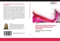 Copertina di Adornos Campaniformes y Epicampaniformes de Cerdeña