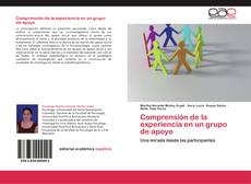 Capa do livro de Comprensión de la experiencia en un grupo de apoyo 