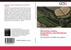 Bookcover of Derechos reales, propiedad y servidumbres rústicas