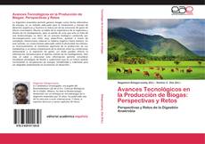 Portada del libro de Avances Tecnológicos en la Producción de Biogas: Perspectivas y Retos
