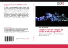 Valorización de fangos de EDAR mediante pirólisis kitap kapağı