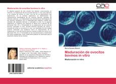 Capa do livro de Maduración de ovocitos bovinos in vitro 