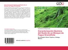 Portada del libro de Caracterización Química del Suelo de un Bosque de Fagus Grandifolia