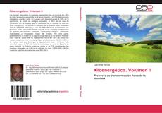 Copertina di Xiloenergética. Volumen II