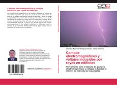 Capa do livro de Campos electromagnéticos y voltajes inducidos por rayos en edificios 