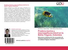 Portada del libro de Pradera marina y macroepifauna móvil en la Bahía Triganá, Colombia