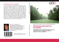 Bookcover of Contaminación del río Tecolutla