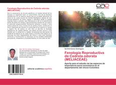 Capa do livro de Fenología Reproductiva de Cedrela odorata             (MELIACEAE) 