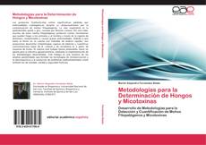 Metodologías para la Determinación de Hongos y Micotoxinas kitap kapağı