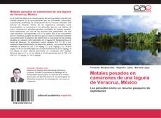 Bookcover of Metales pesados en camarones de una laguna de Veracruz, México