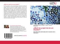 Bookcover of ¿Qué es y qué no es un cluster?