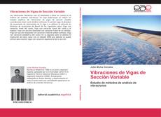Vibraciones de Vigas de Sección Variable kitap kapağı