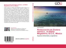 Bookcover of Restauración de Zostera marina L. en Bahía Magdalena, B.C.S., México