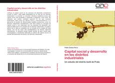 Capital social y desarrollo en los distritos industriales kitap kapağı