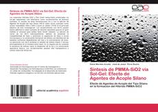 Capa do livro de Síntesis de PMMA-SiO2 vía Sol-Gel: Efecto de Agentes de Acople Silano 
