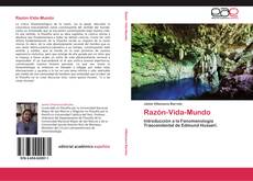 Razón-Vida-Mundo的封面