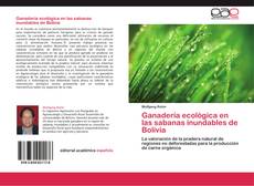 Bookcover of Ganadería ecológica en las sabanas inundables de Bolivia