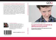 Portada del libro de La prevención social de la delincuencia juvenil