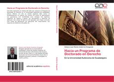 Hacia un Programa de Doctorado en Derecho kitap kapağı