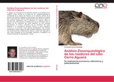 Análisis Zooarqueológico de los roedores del sitio Cerro Aguará kitap kapağı