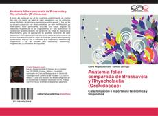 Portada del libro de Anatomía foliar comparada de Brassavola y Rhyncholaelia (Orchidaceae)