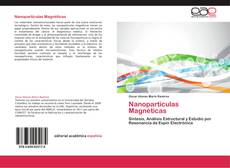 Portada del libro de Nanopartículas Magnéticas