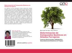 Обложка Determinación de Compuestos Químicos en Árboles Forrajeros