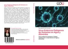 Bookcover of Virus Entéricos Patógenos de Humanos en Agua y Alimentos