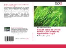 Bookcover of Gestión social de un bien común: Los Comités de Agua en Nicaragua