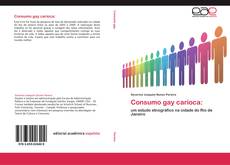 Capa do livro de Consumo gay carioca: 