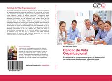 Calidad de Vida Organizacional的封面