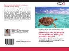 Buchcover von Determinación del estado de salud de las Tortugas marinas. México